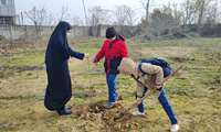 کاشت نهال در روز درختکاری در راستای ارتقای سلامت