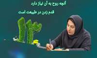 سیزده بدر روز حفظ طبیعت برای آرامش روح انسان 